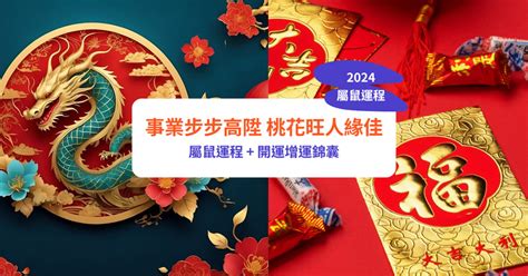 屬鼠財位|【屬鼠2024生肖運勢】事業步步高陞，桃花旺人緣。